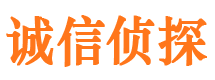 磐石侦探